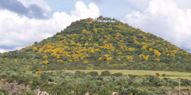 Cerro del Tolimán lugar de la leyenda del oro.