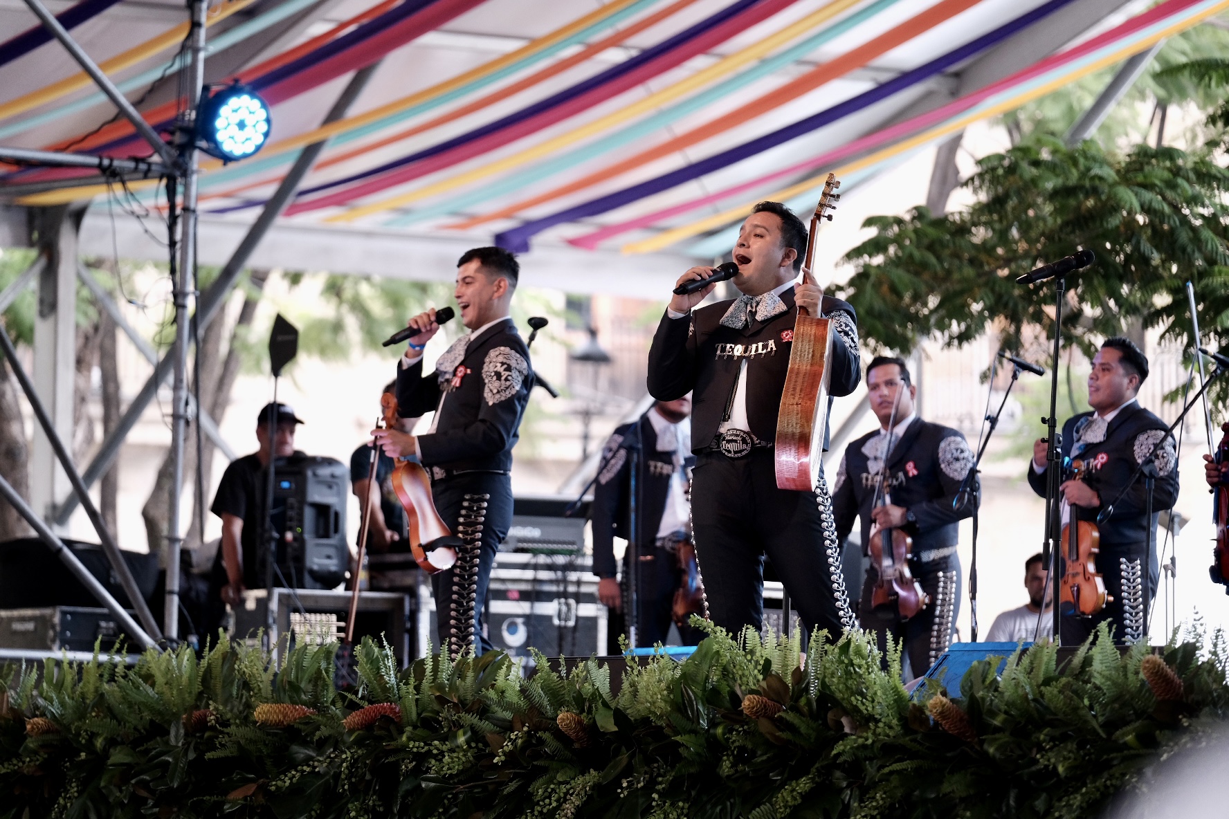 Mariachi