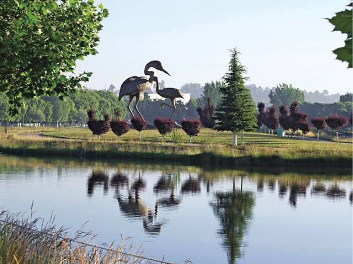 Parque Las Garzas y el lago del mismo nombre: Perfectos para paseos en lancha, pesca o simplemente disfrutar la tranquilidad.